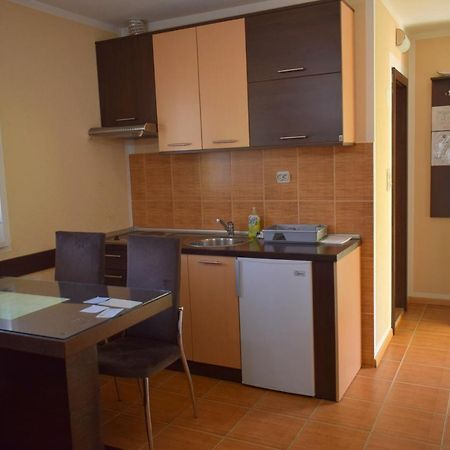 Apartmani Radoicic Josanicka Banja ภายนอก รูปภาพ