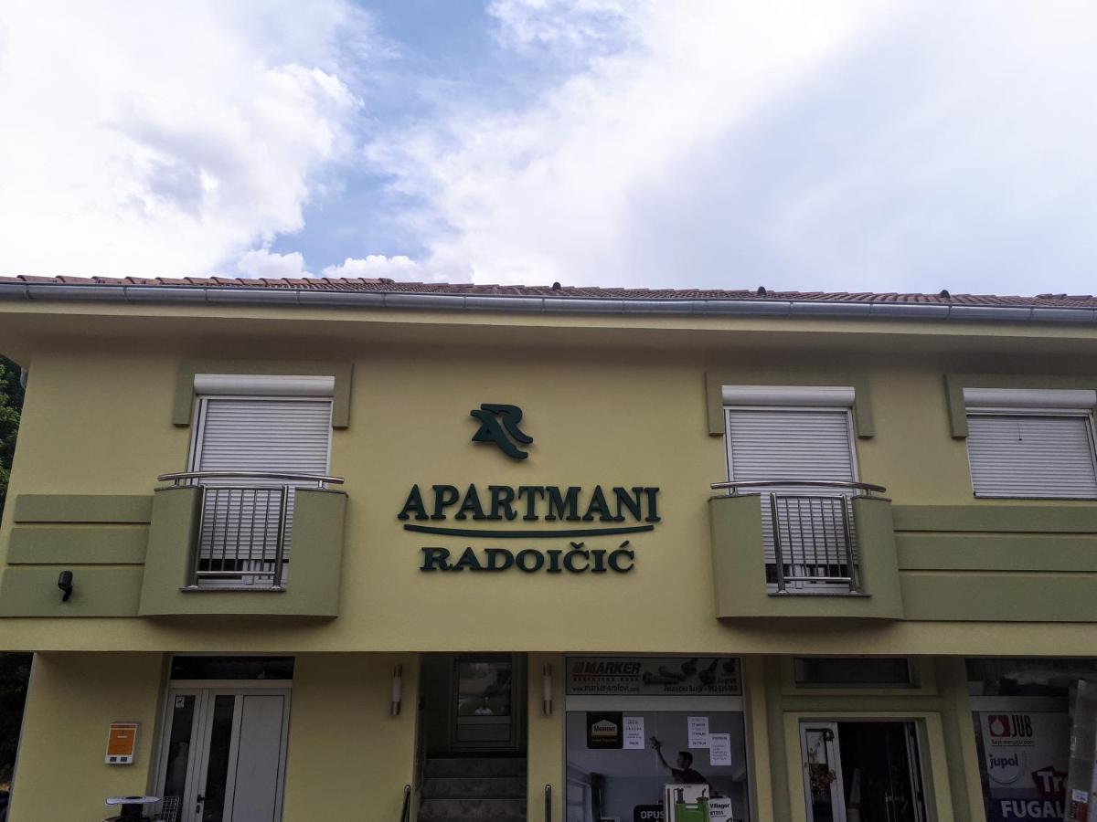 Apartmani Radoicic Josanicka Banja ภายนอก รูปภาพ