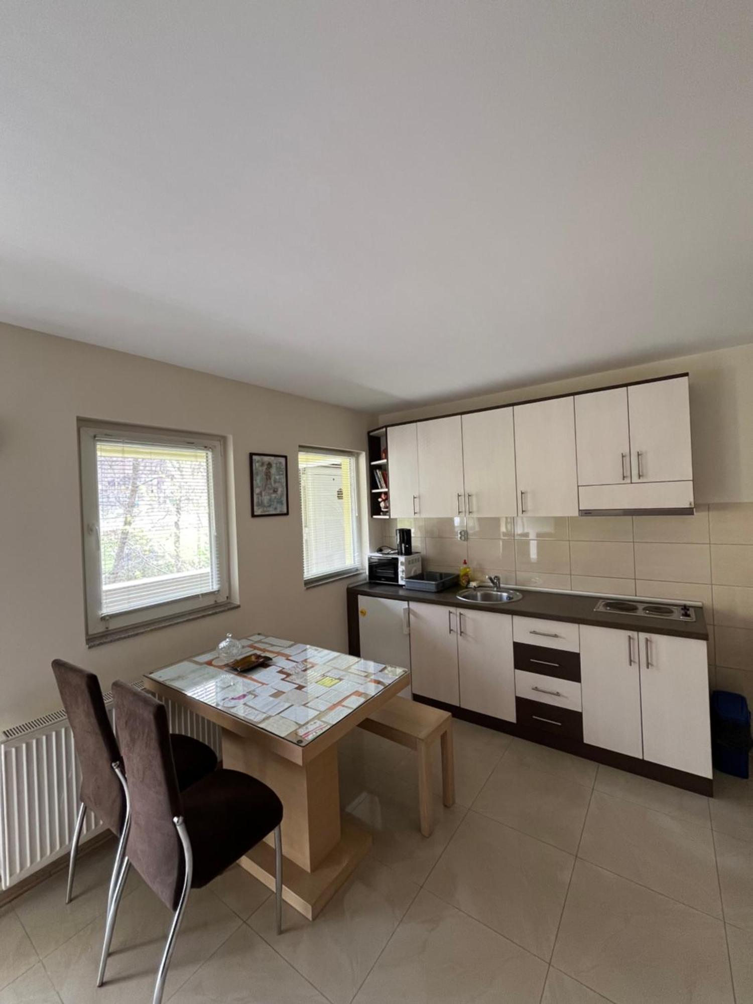 Apartmani Radoicic Josanicka Banja ภายนอก รูปภาพ