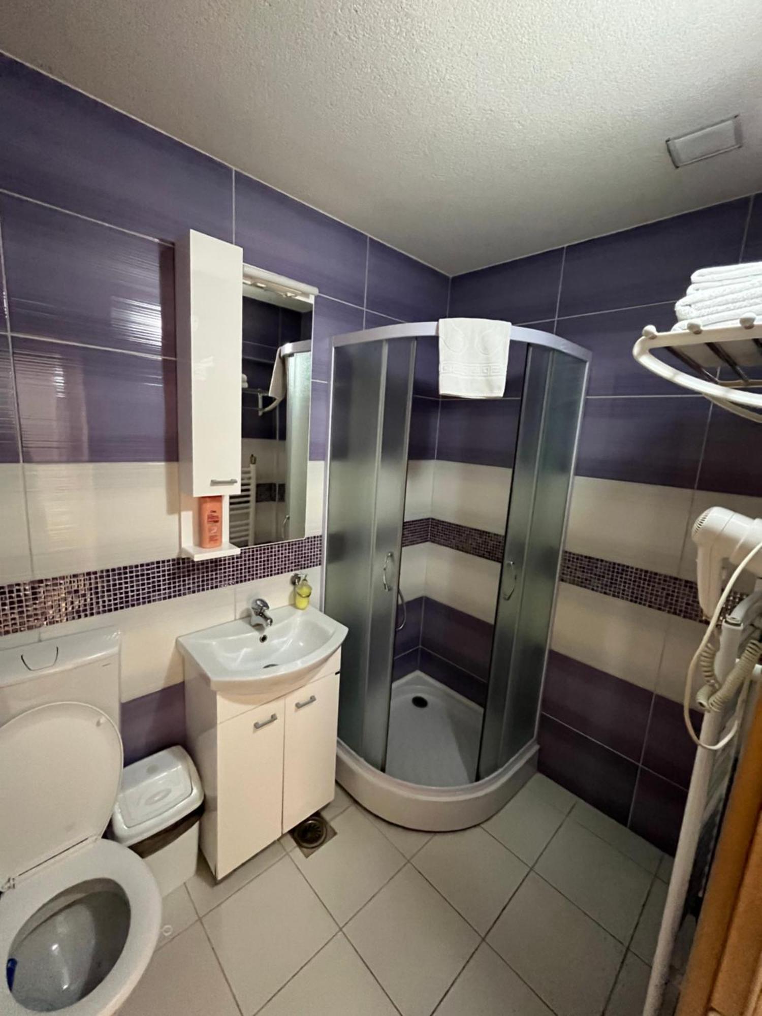 Apartmani Radoicic Josanicka Banja ภายนอก รูปภาพ